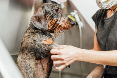 Midsection of person with dog