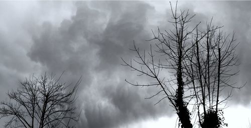 Low angle view of trees against cloudy sky