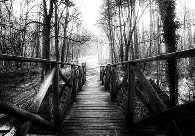 Footbridge amidst trees in forest