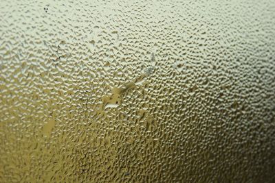 Full frame shot of wet glass window