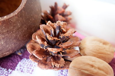 Close-up of pine cone on table