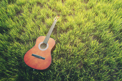 High angle view of guitar playing on field