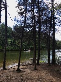 Scenic view of river amidst trees against sky