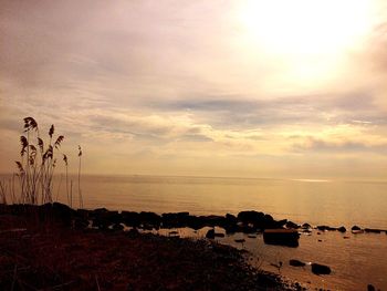 Scenic view of sea at sunset