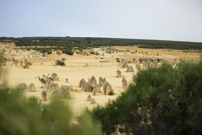 Panoramic view of landscape against clear sky