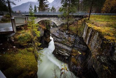 Bridge over stream by trees