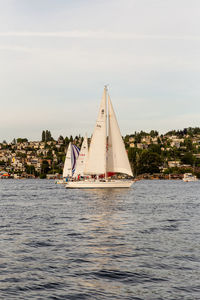 Sailboat sailing on sea against sky