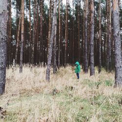 Full length of woman standing on tree trunk in forest