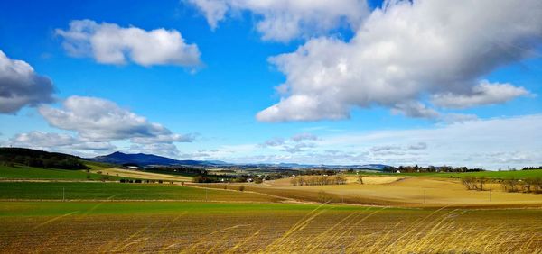 Scenic view of agricultural field against cloudy sky
