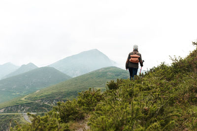 Back view of anonymous elderly woman with backpack and walking stick strolling on grassy slope towards mountain peak during trip in nature