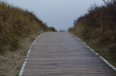 Footpath amidst trees against clear sky