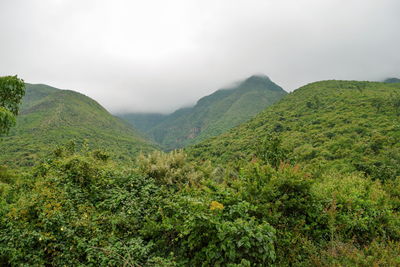 Scenic mountain landscapes partly covered by fog, kikuyu escarpment, rift valley, kenya