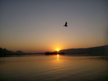 Silhouette bird flying over lake against clear sky during sunset