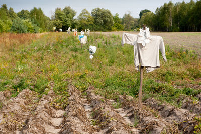 Scarecrow on field against trees