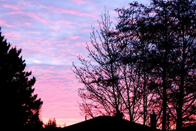 Low angle view of silhouette trees against sky