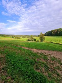 Scenic view of field against sky