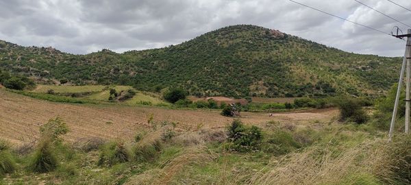Scenic view of field against sky
