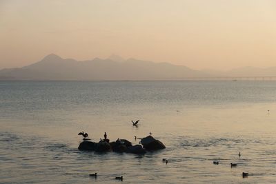 Scenic view of sea against sky during sunset