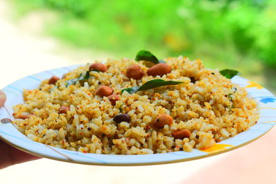 Close-up of meal served in plate