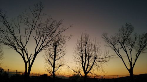 Silhouette bare trees on landscape against sky at sunset