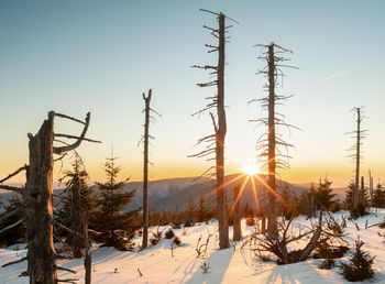 Scenic view of snow covered landscape