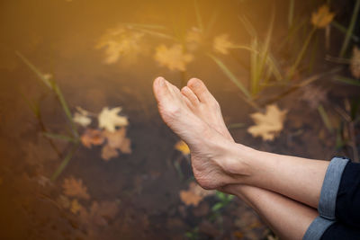 Close-up of person hand with leaves