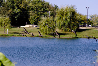 Scenic view of lake against clear sky