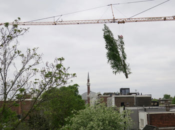 Low angle view of trees and buildings against sky