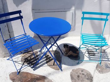 View of cat under table shadow