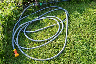 Lawn with green grass and a rubber hose for watering the garden.