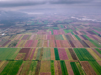 Aerial view of agricultural field