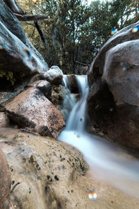 Scenic view of waterfall in forest