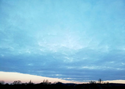 Low angle view of silhouette trees against sky