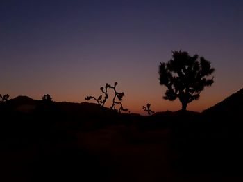 Silhouette trees against clear sky at sunset