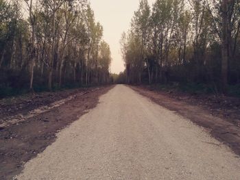 Dirt road amidst trees in forest