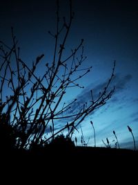 Silhouette plants on field against blue sky