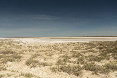 Scenic view of desert against sky