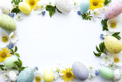 Colorful easter eggs with spring blossom flowers isolated over white background. 