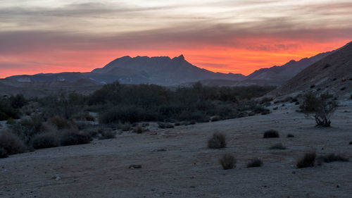 Scenic view of landscape against sky during sunset