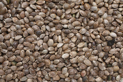 Full frame shot of stones