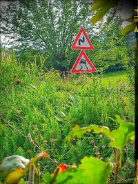 Plants growing on field