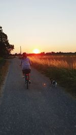 Rear view of man riding bicycle on road against sky