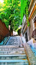 Low angle view of staircase