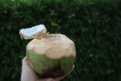 Close-up of hand holding ice cream