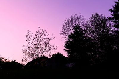 Low angle view of silhouette trees against sky during sunset