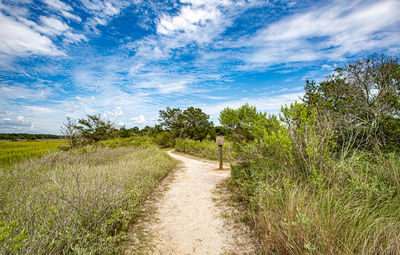 Dirt road amidst plants against sky