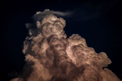 Low angle view of tree against sky at night