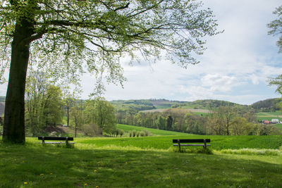 Bench on field by trees against sky