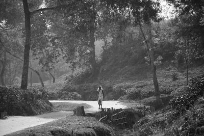 Rear view of woman standing amidst trees in forest