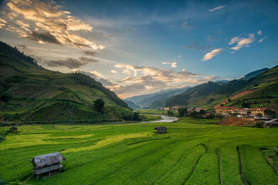 Scenic view of agricultural field against sky